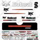 Bobcat S450 Compact Track Loader Decal Kit Skid Steer S-450 (straight Stripe)
