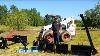Eterra Backhoe Attachment System For Skid Steer And Mini Skid Steer Loaders