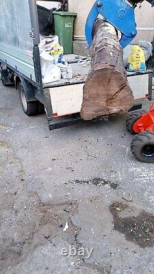 LONDON Skid Steer Loader Rotovator Services AllSite Clearance Stump Removal Work